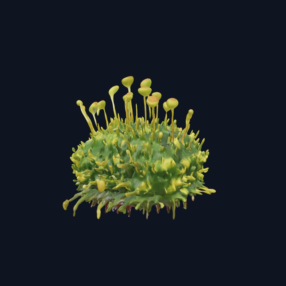 Green Floral Moss model pack