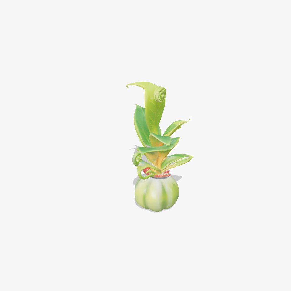 Curled Leaf Plant model pack