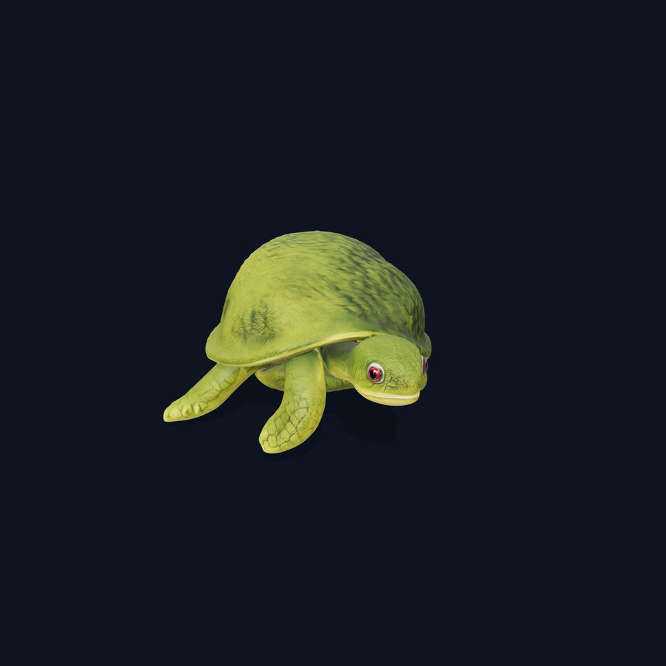 Mossy Turtle model pack