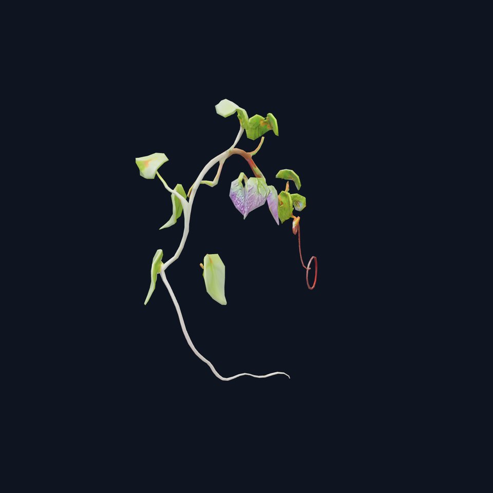 Lush Vine Foliage model pack