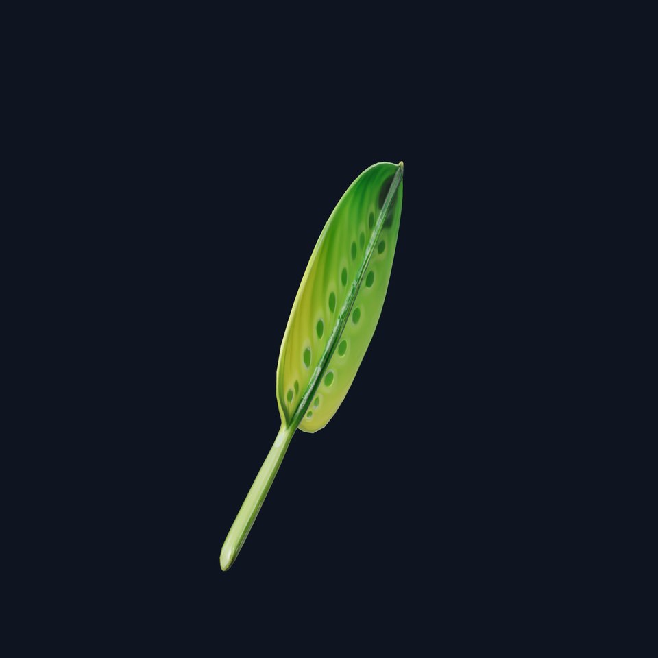 Tropical Leaf Gradient model pack