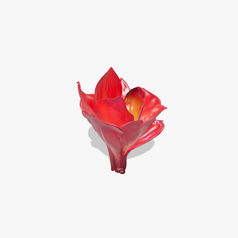 Radiant Lotus Flower model pack