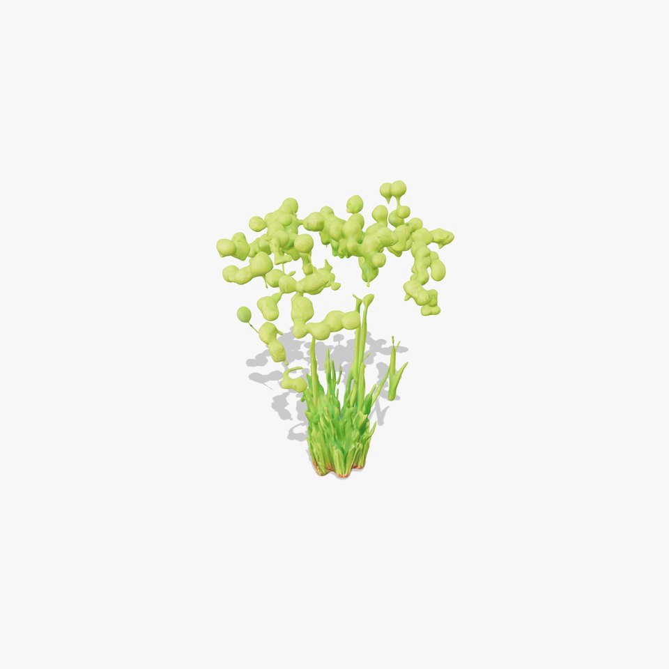 Green Seed Pods model pack