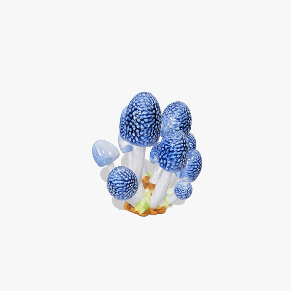 Blue Fuzzy Mushroom model pack