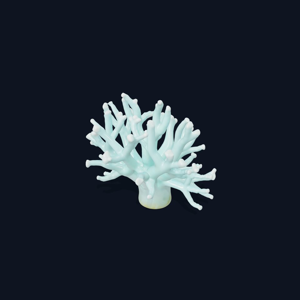 Mint Coral Reef model pack