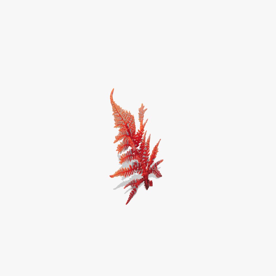 Red Fern model pack