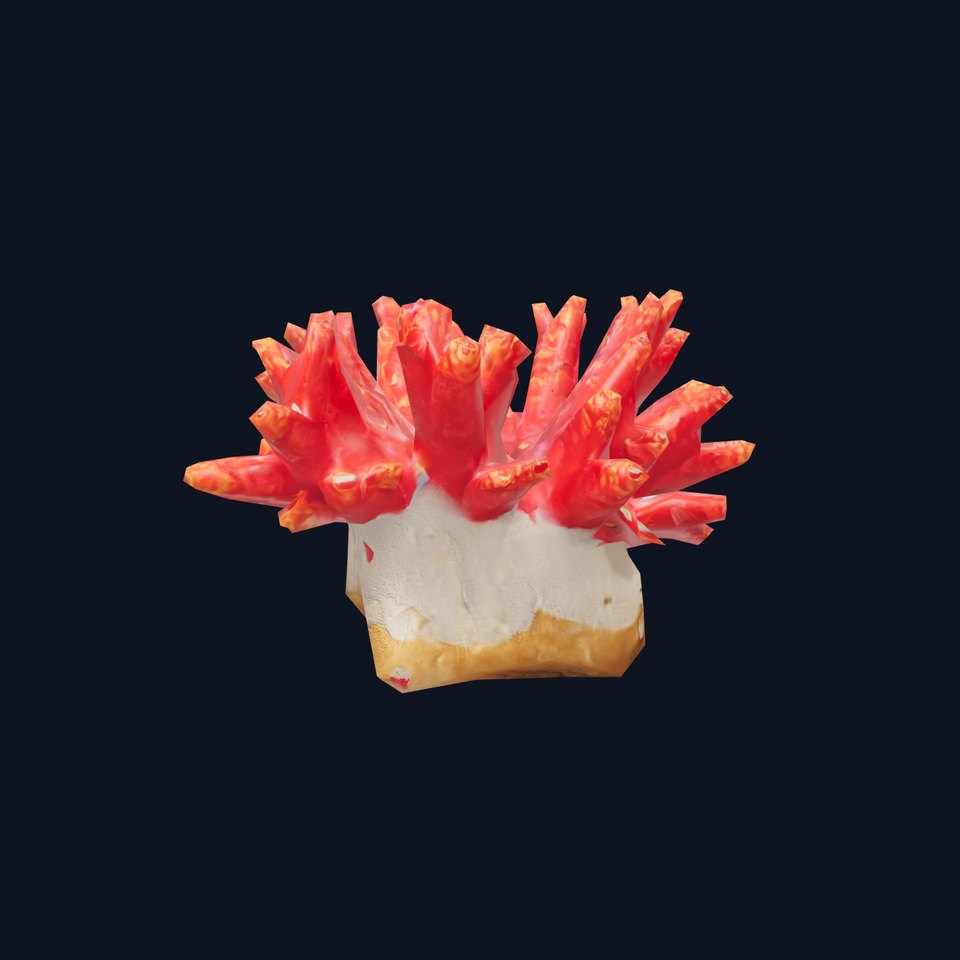 Vibrant Coral Reef model pack