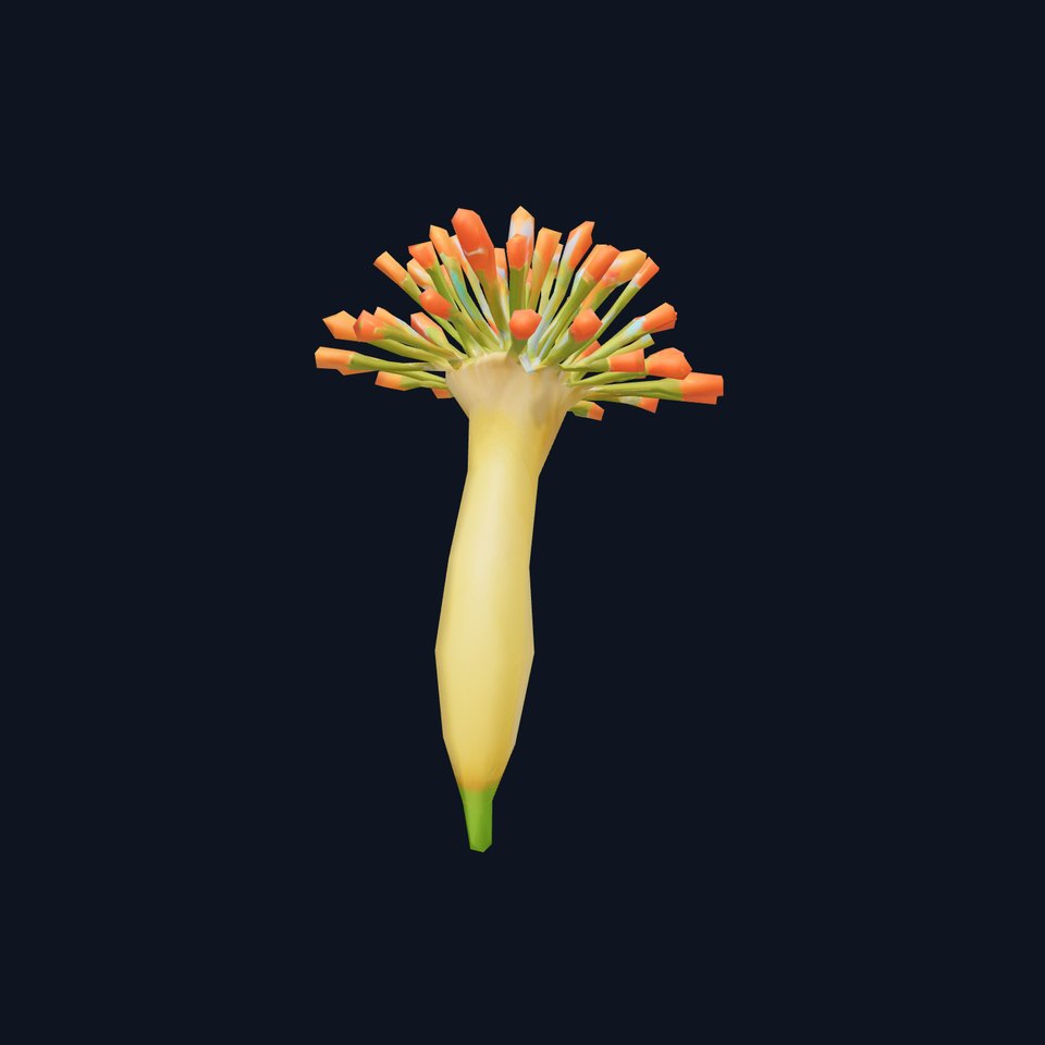 Orange Blossom Bloom model pack