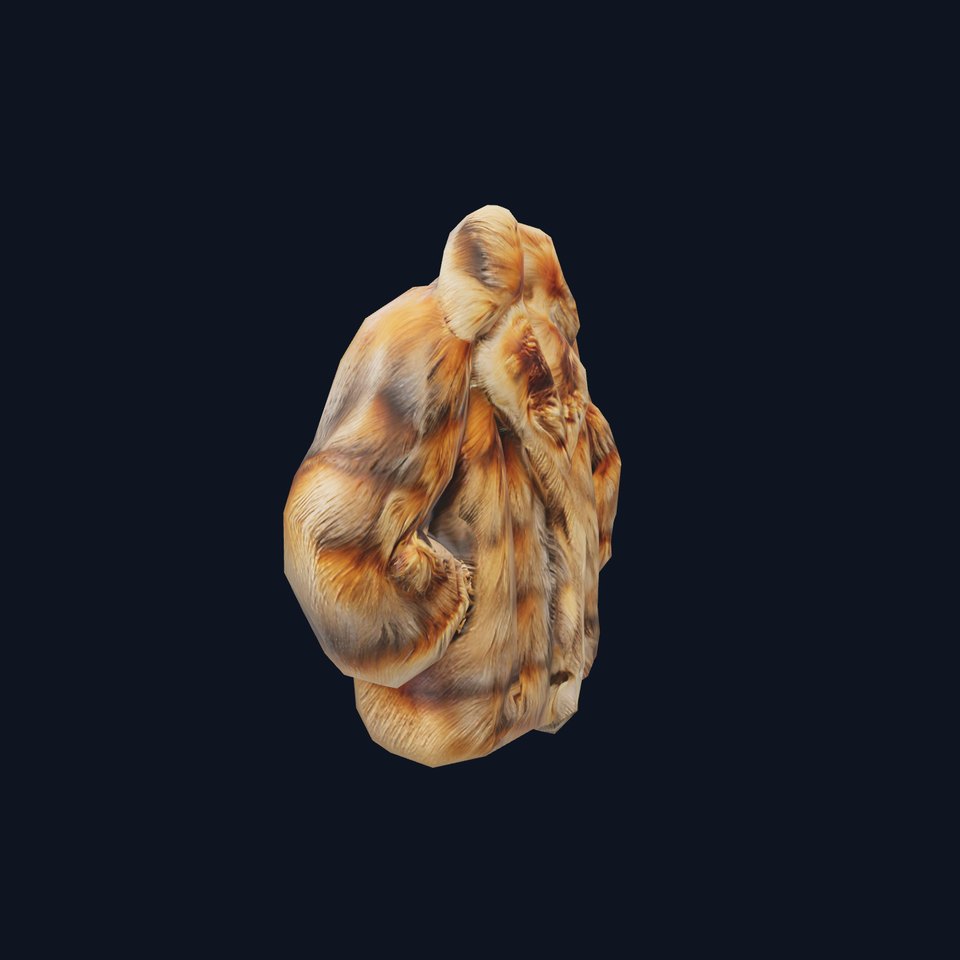 Cozy Fur Coat model pack