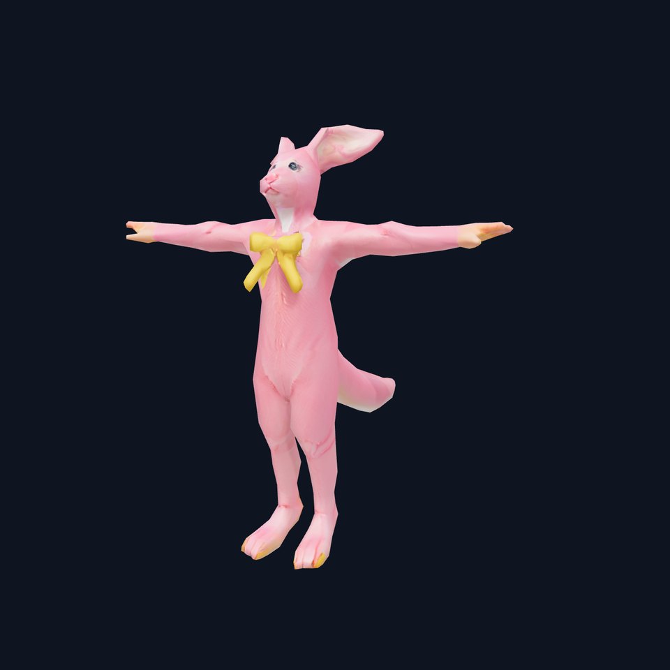 Pink Bunny Costume model pack