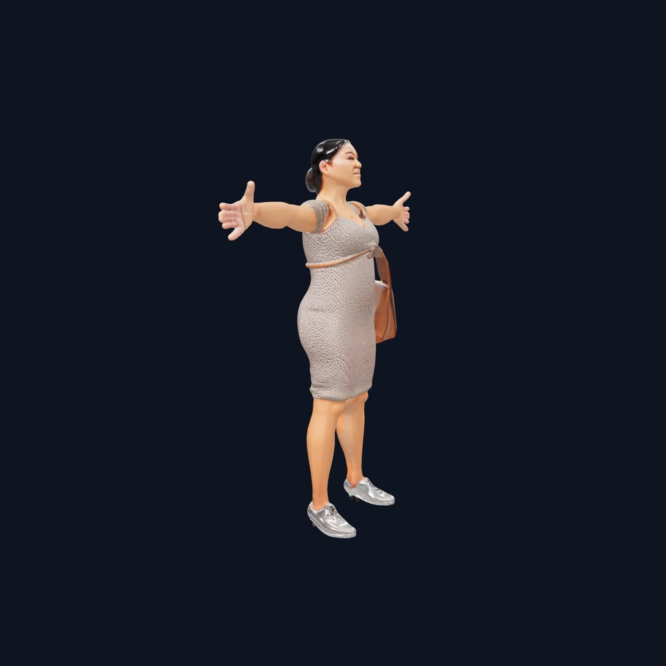 Casual Maternity Dress model pack