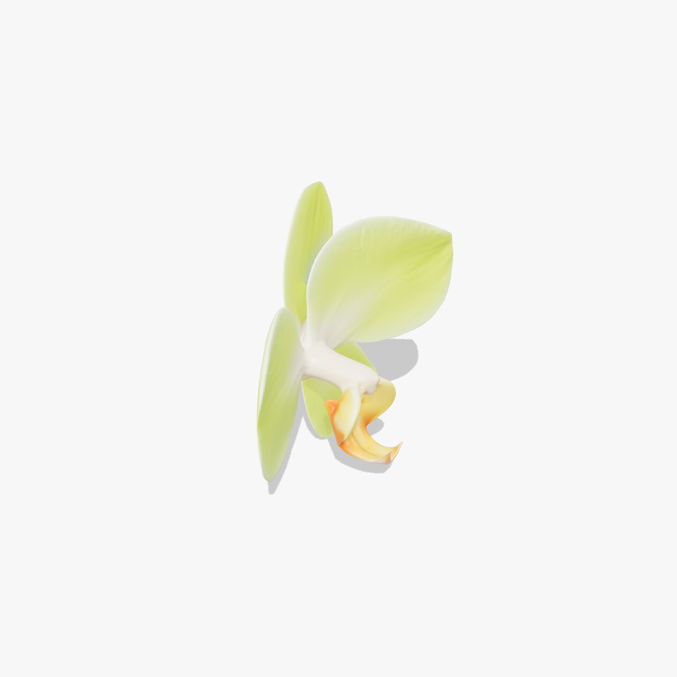 Elegant Green Orchid model pack