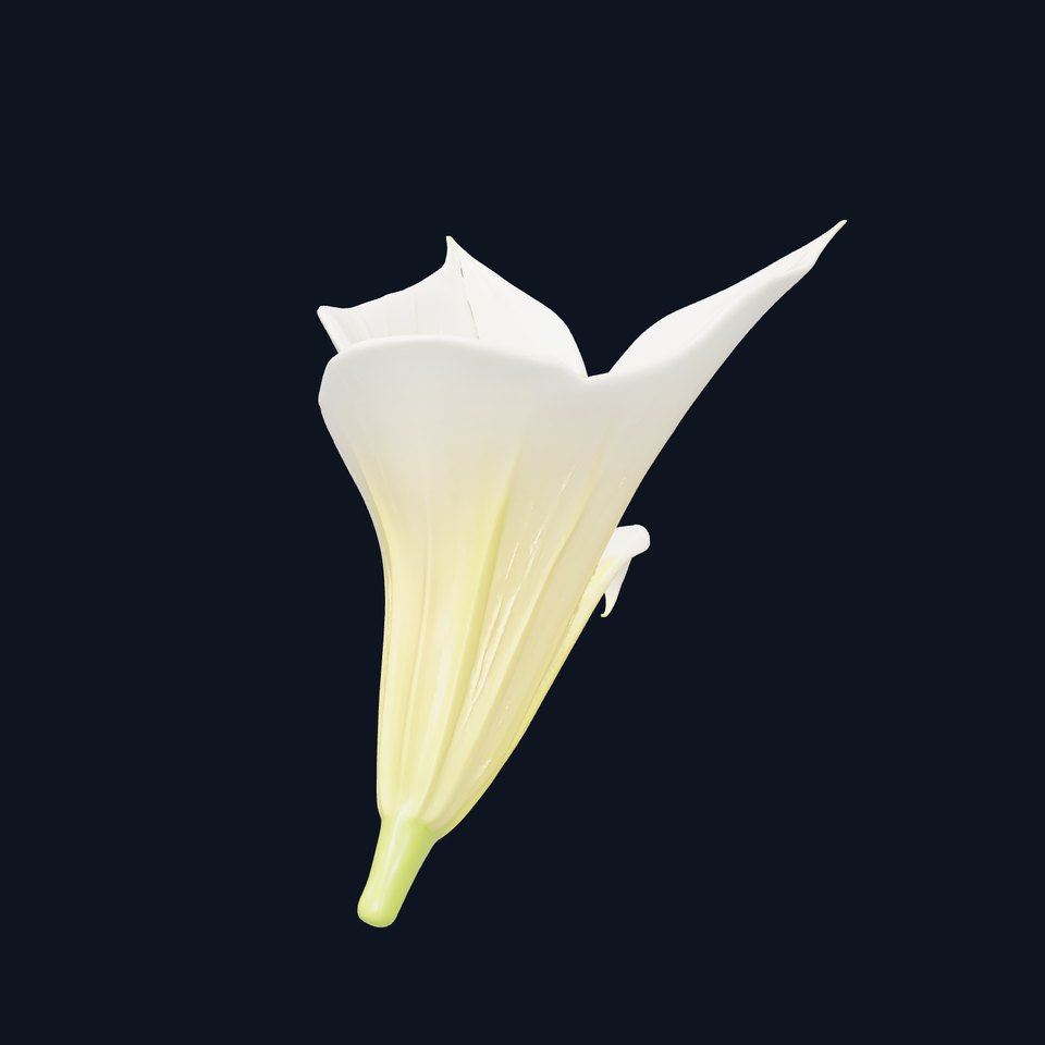 Elegant Lily Flower model pack