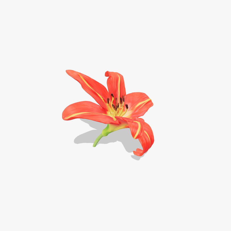 Radiant Red Lily model pack