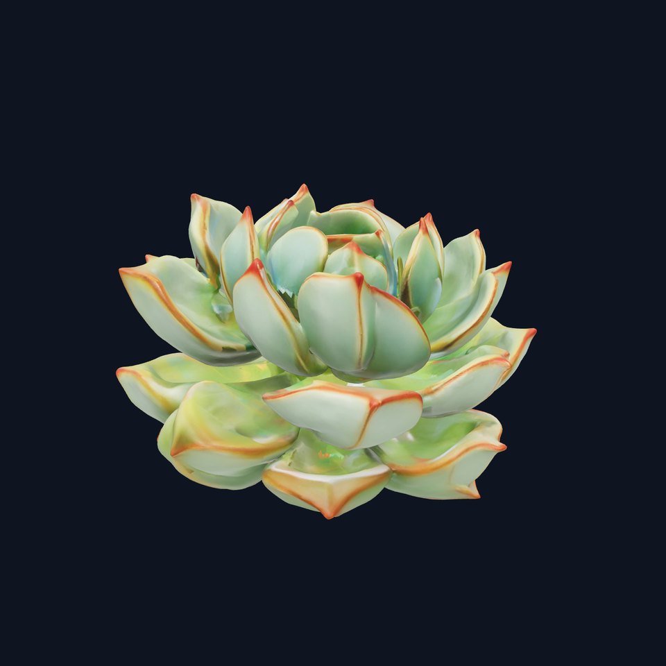 Green Echeveria Succulent model pack