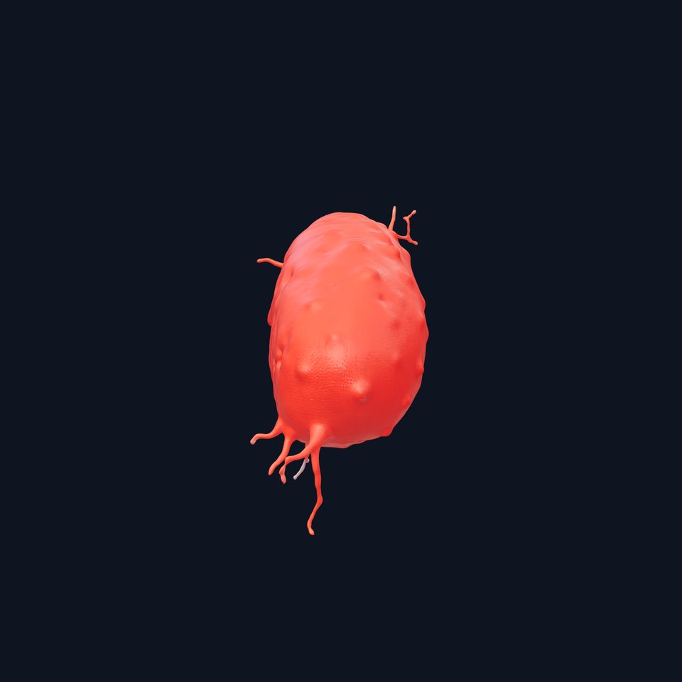 Red Bacterium model pack