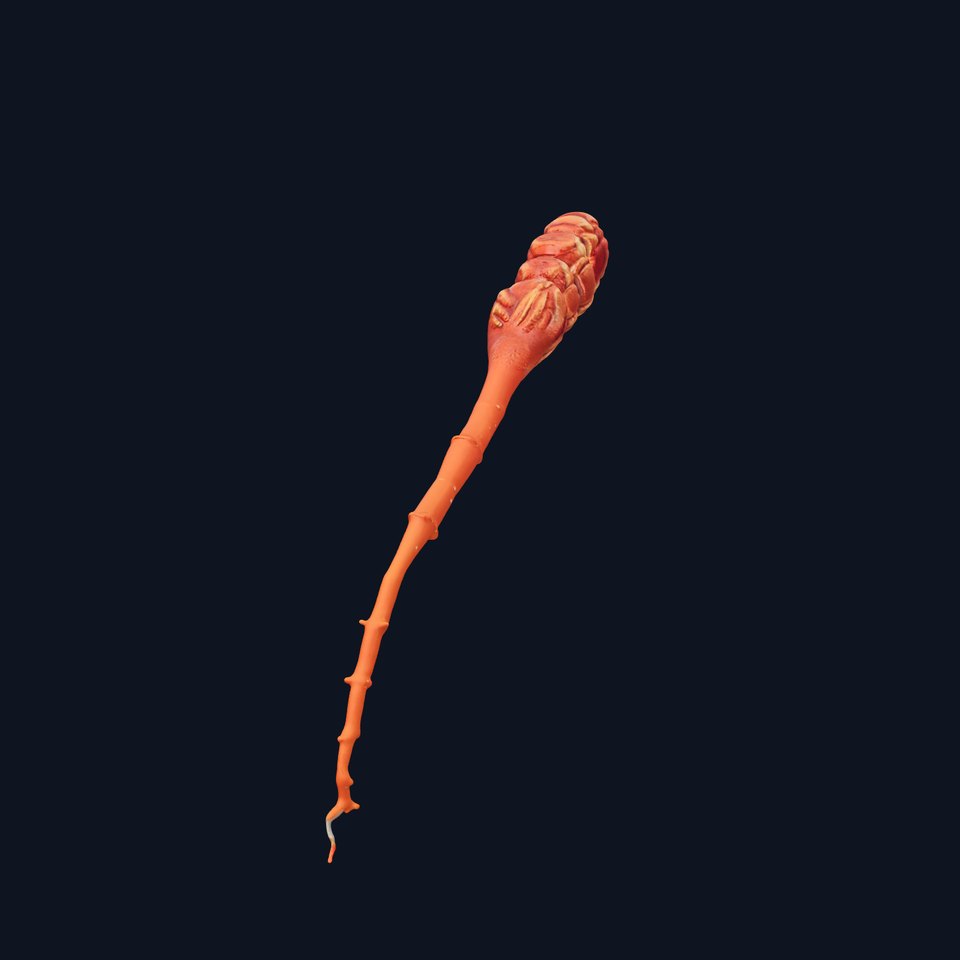 Rustic Twisted Branch model pack