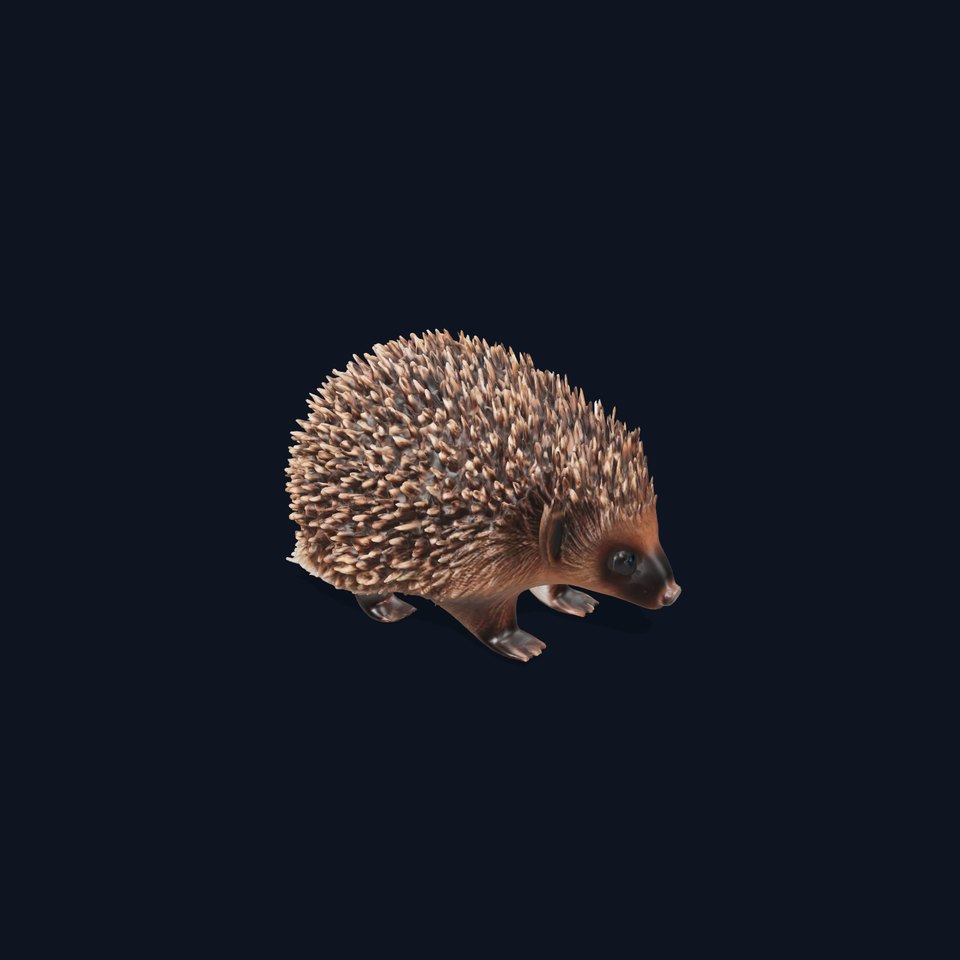Adorable Hedgehog Model Pack