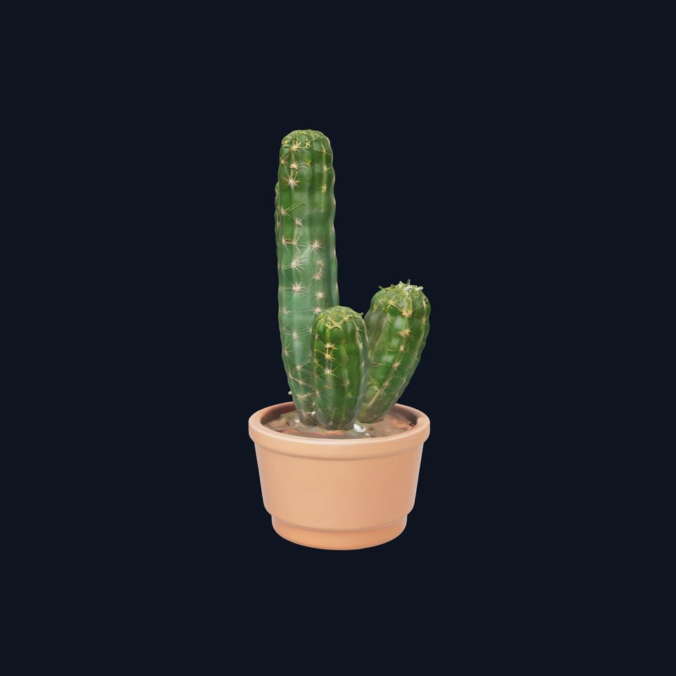 Spiky Green Cactus model pack