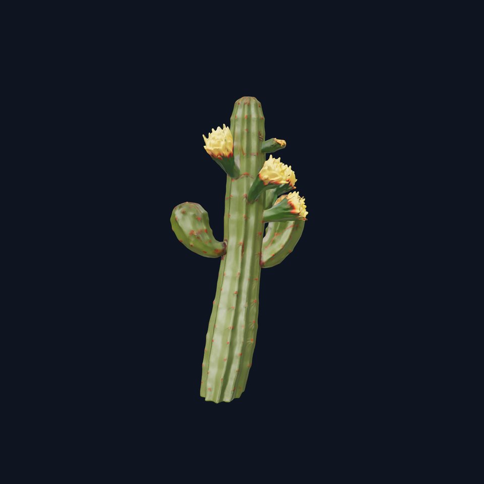 Floral Cactus model pack