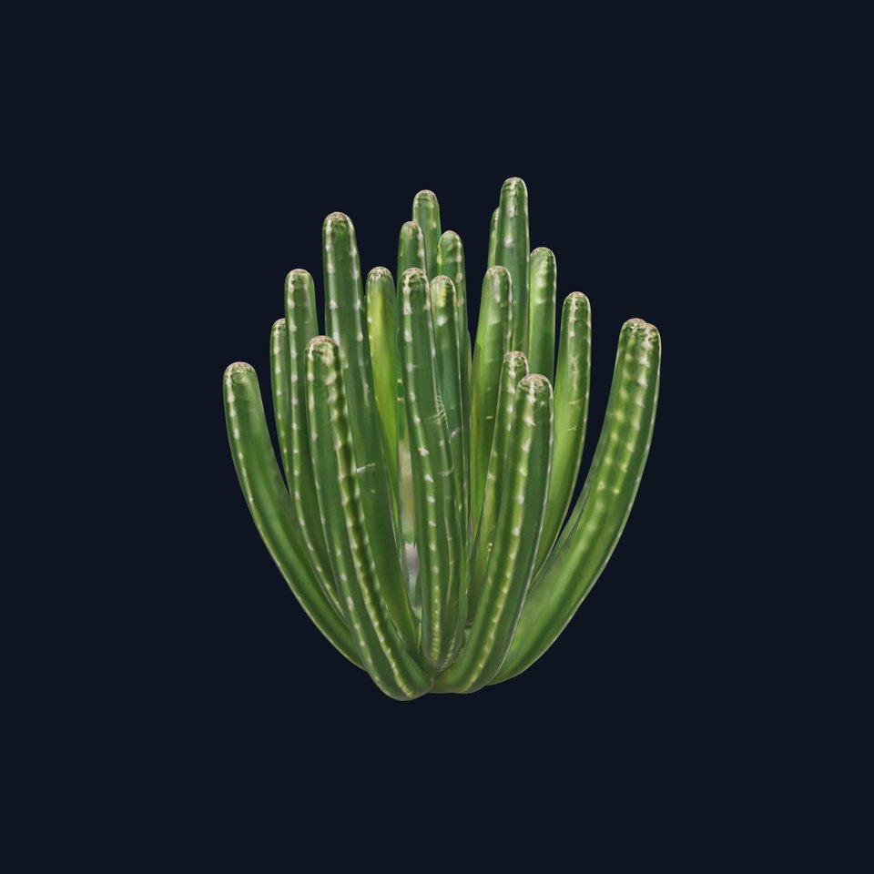 Saguaro Cactus Green model pack