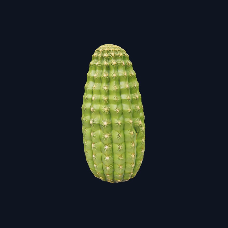 Green Cactus Texture model pack