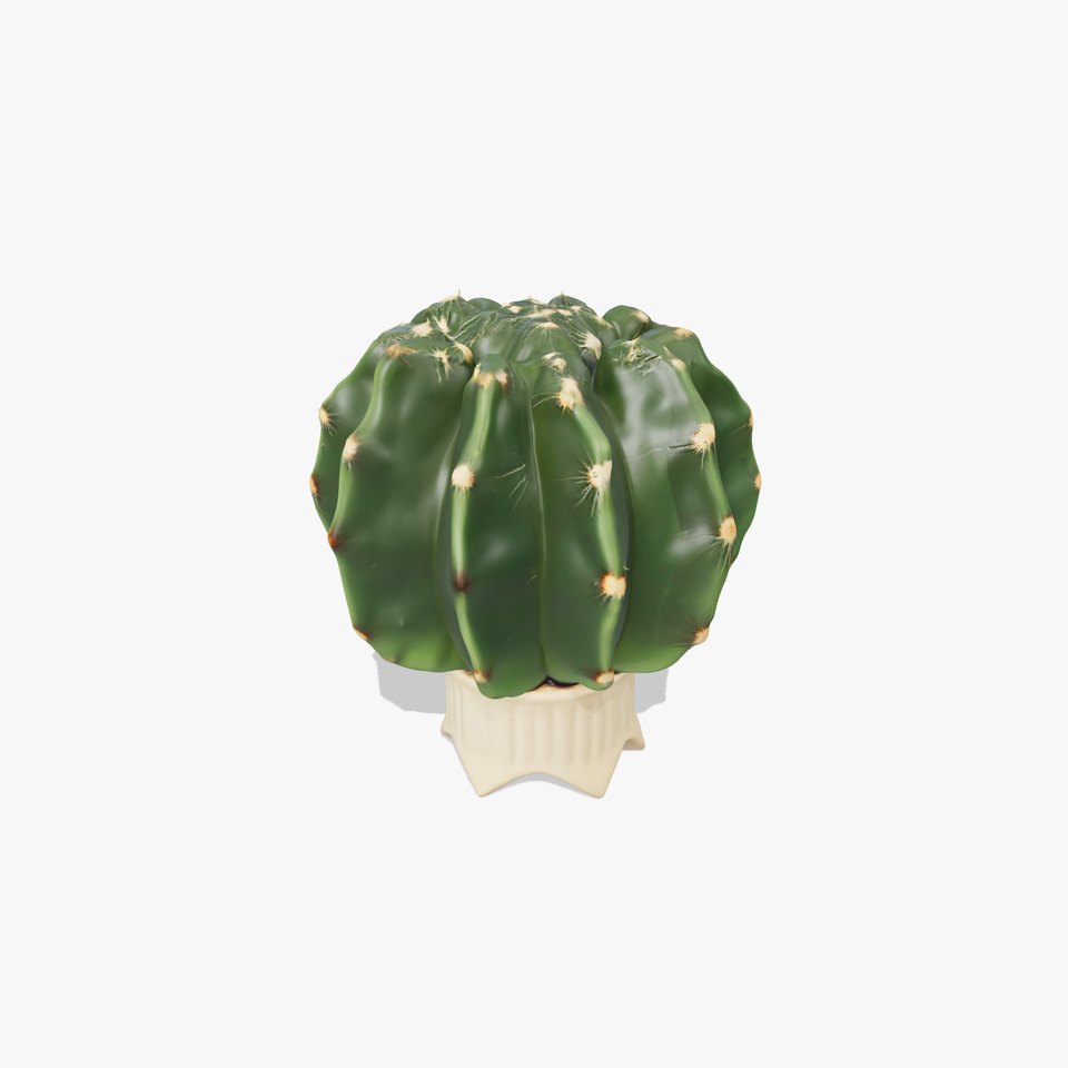 Green Cactus Decor model pack