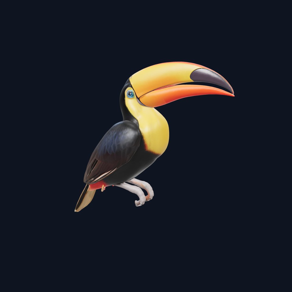 Colorful Toucan model pack
