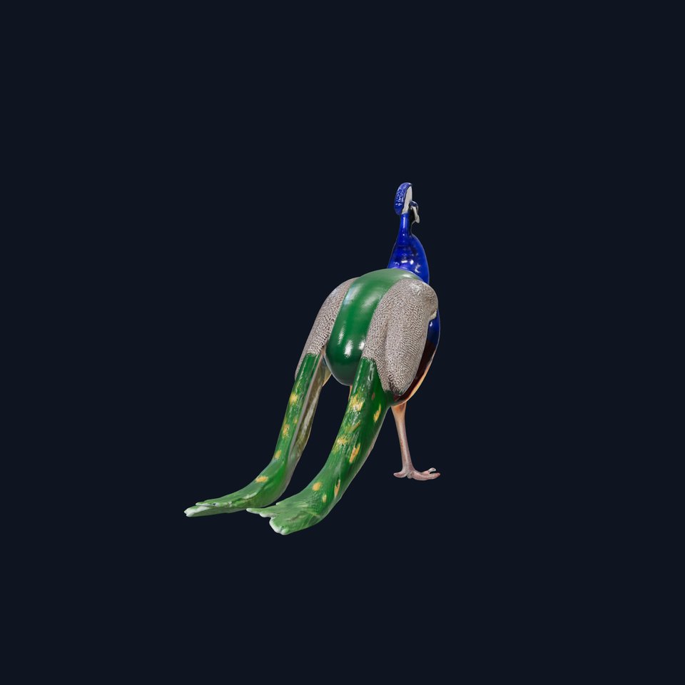 Vibrant Peacock Elegance model pack
