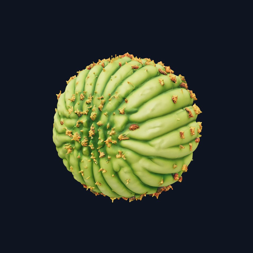Round Cactus Sphere model pack