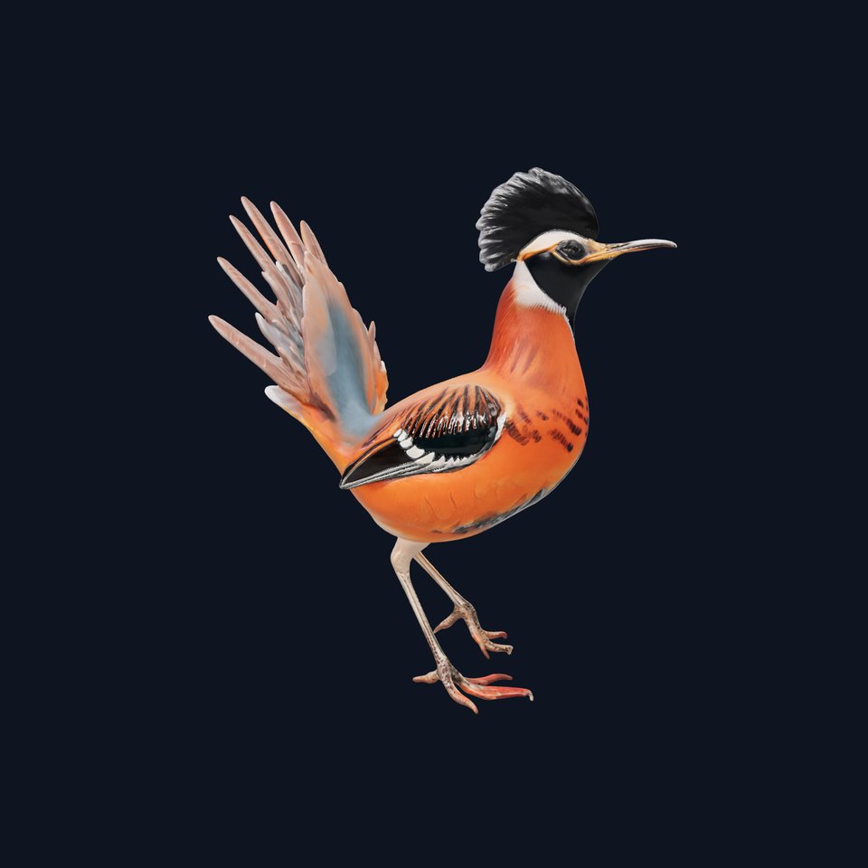 Orange Crested Bird model pack