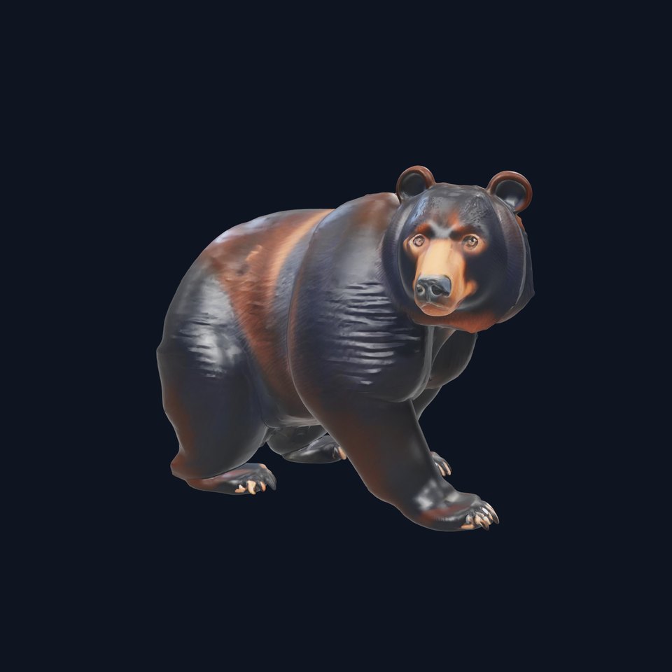 Realistic Black Bear model pack