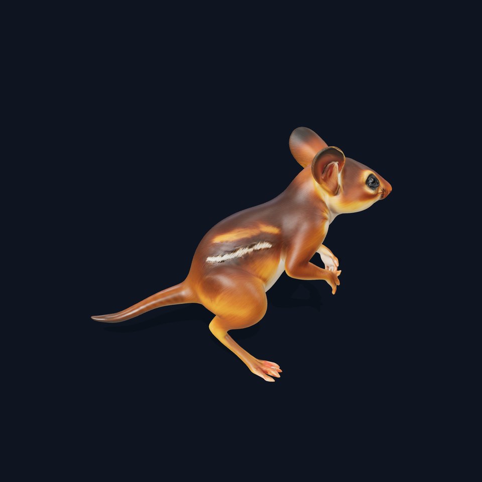 Playful Jerboa Creature model pack