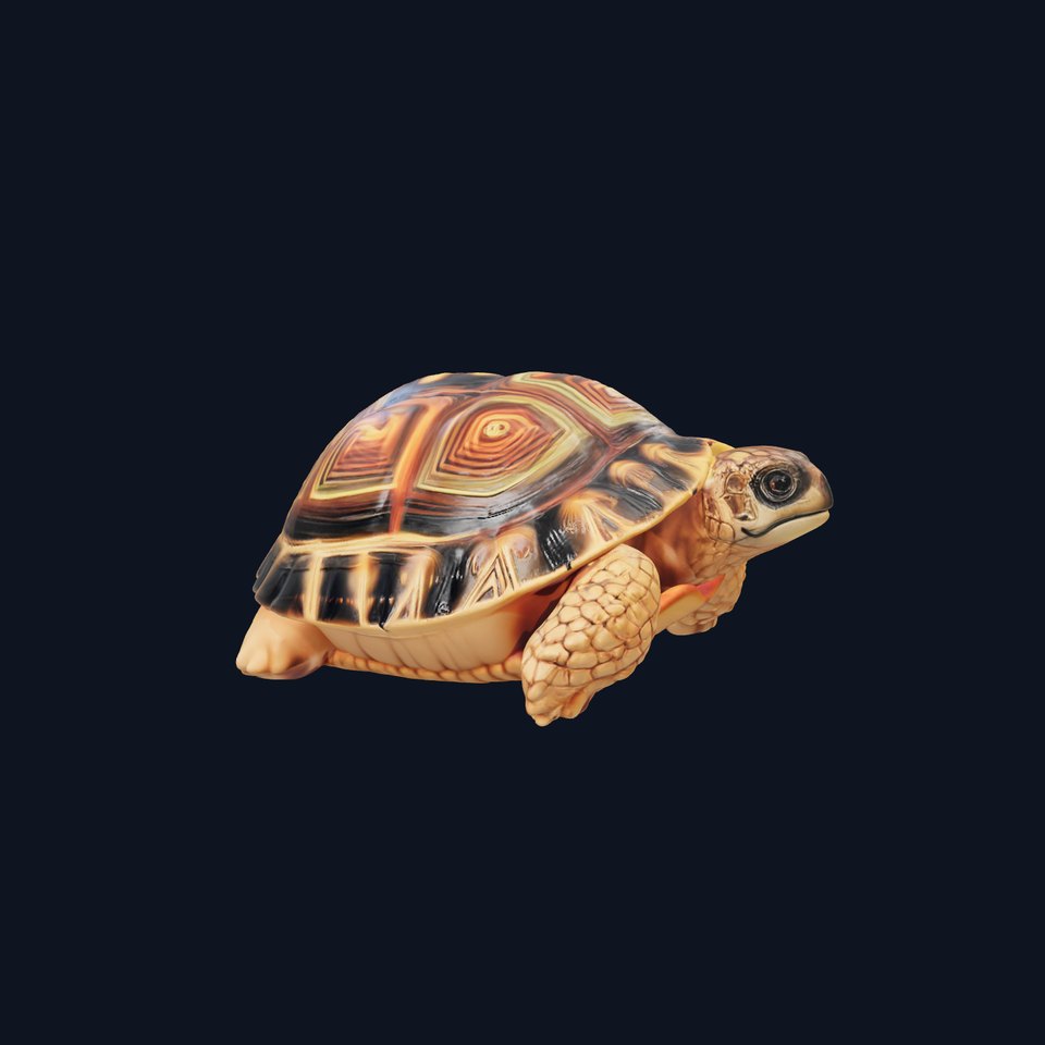Colorful Tortoise Shell model pack
