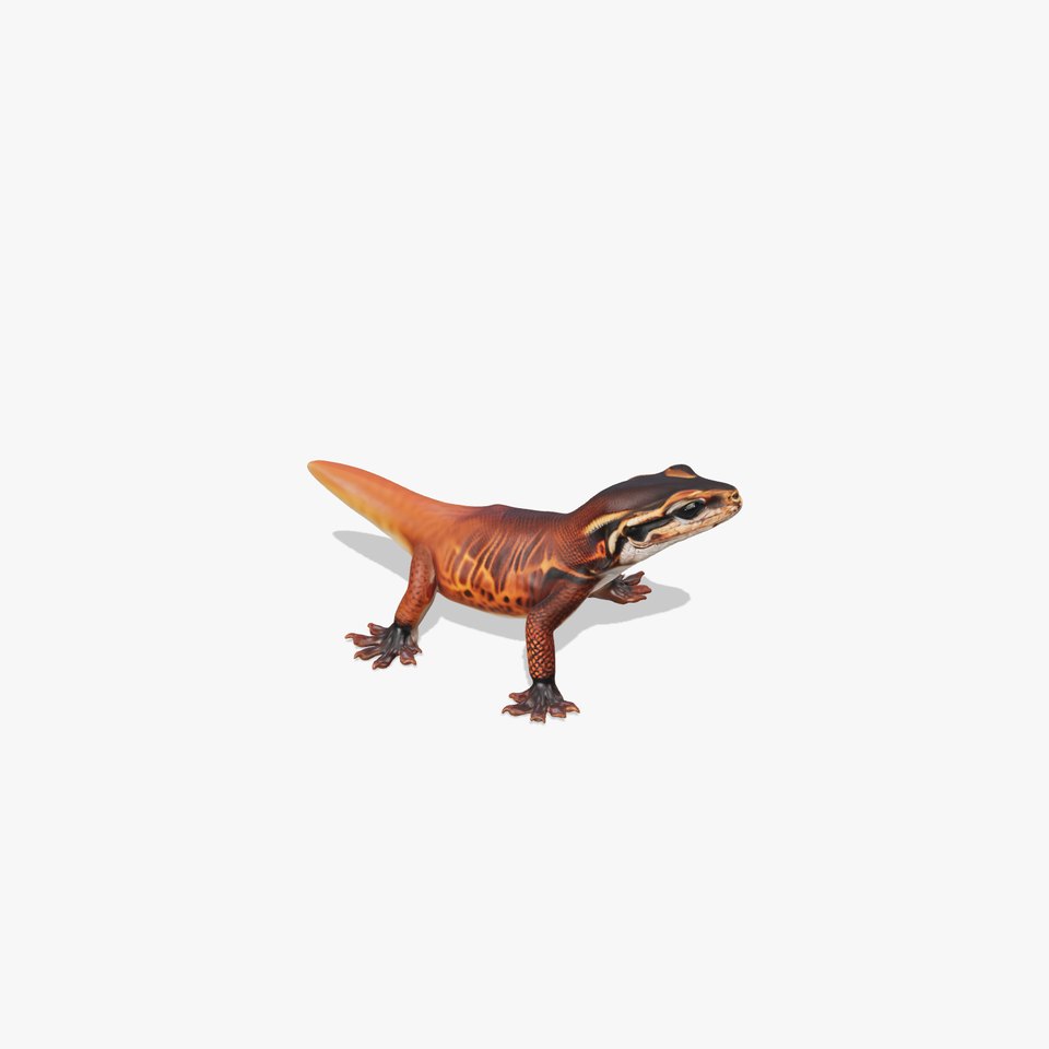 Striped Gecko model pack