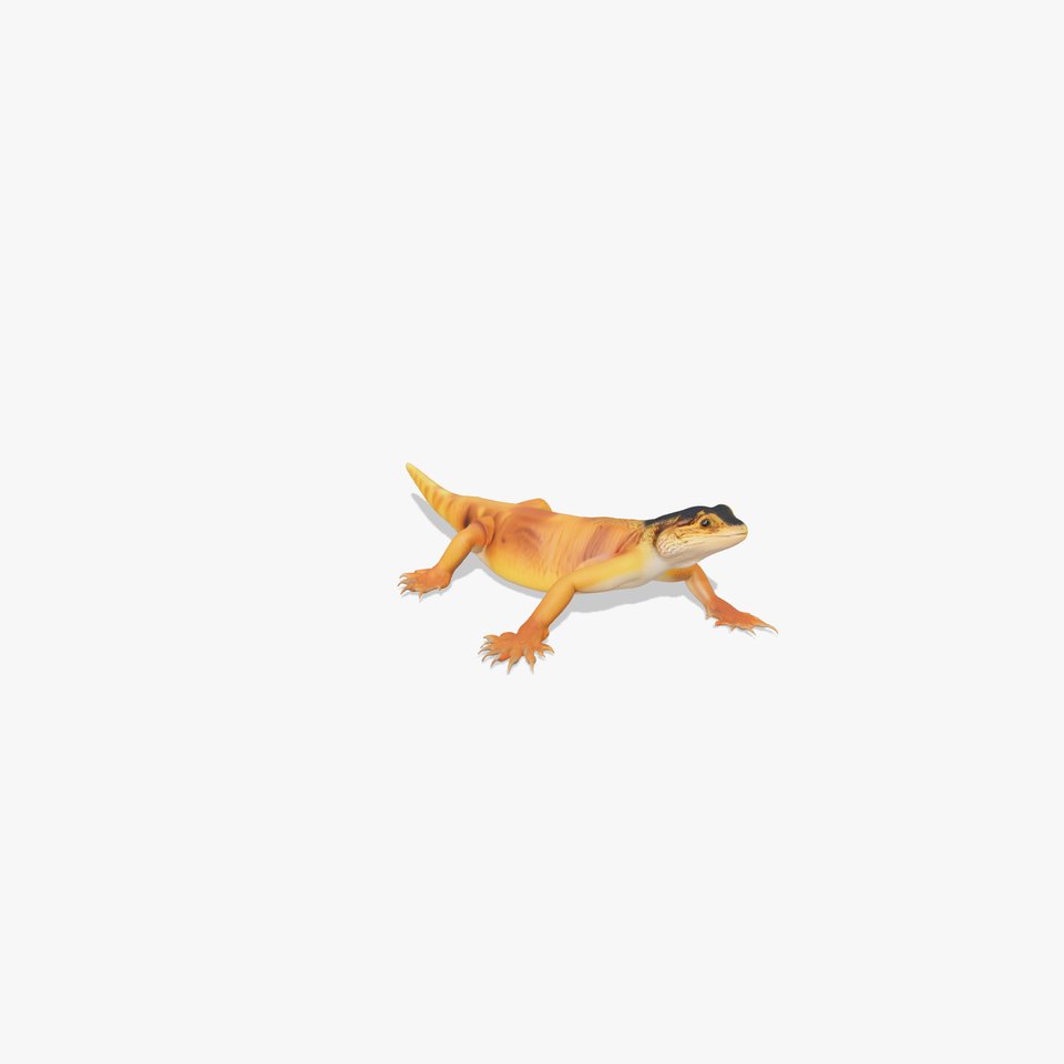 Vibrant Lizard model pack