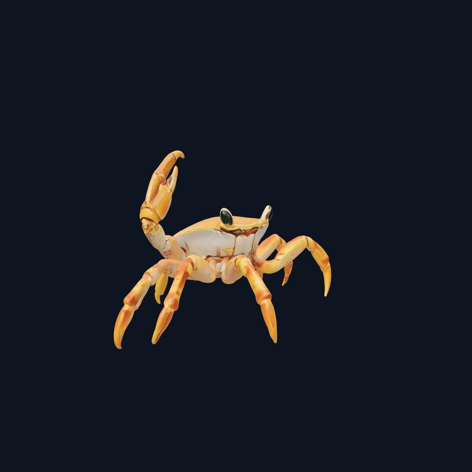 Vibrant Crab model pack