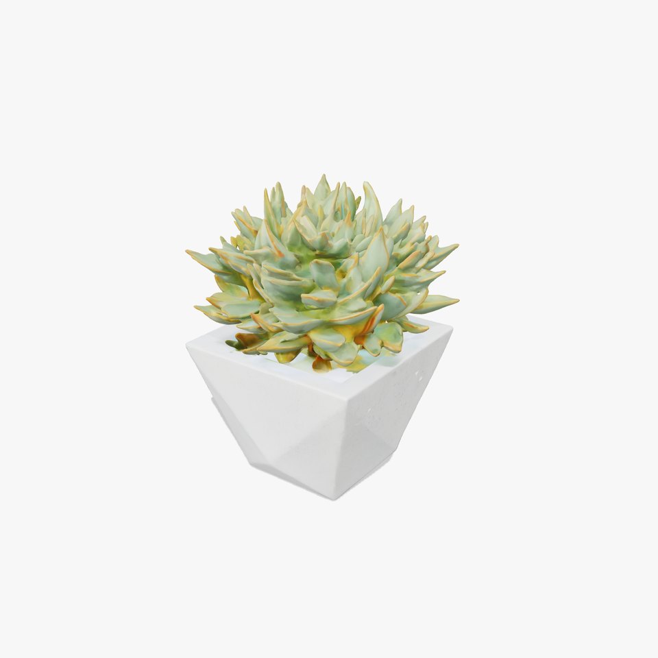 Geometric Succulent Planter model pack
