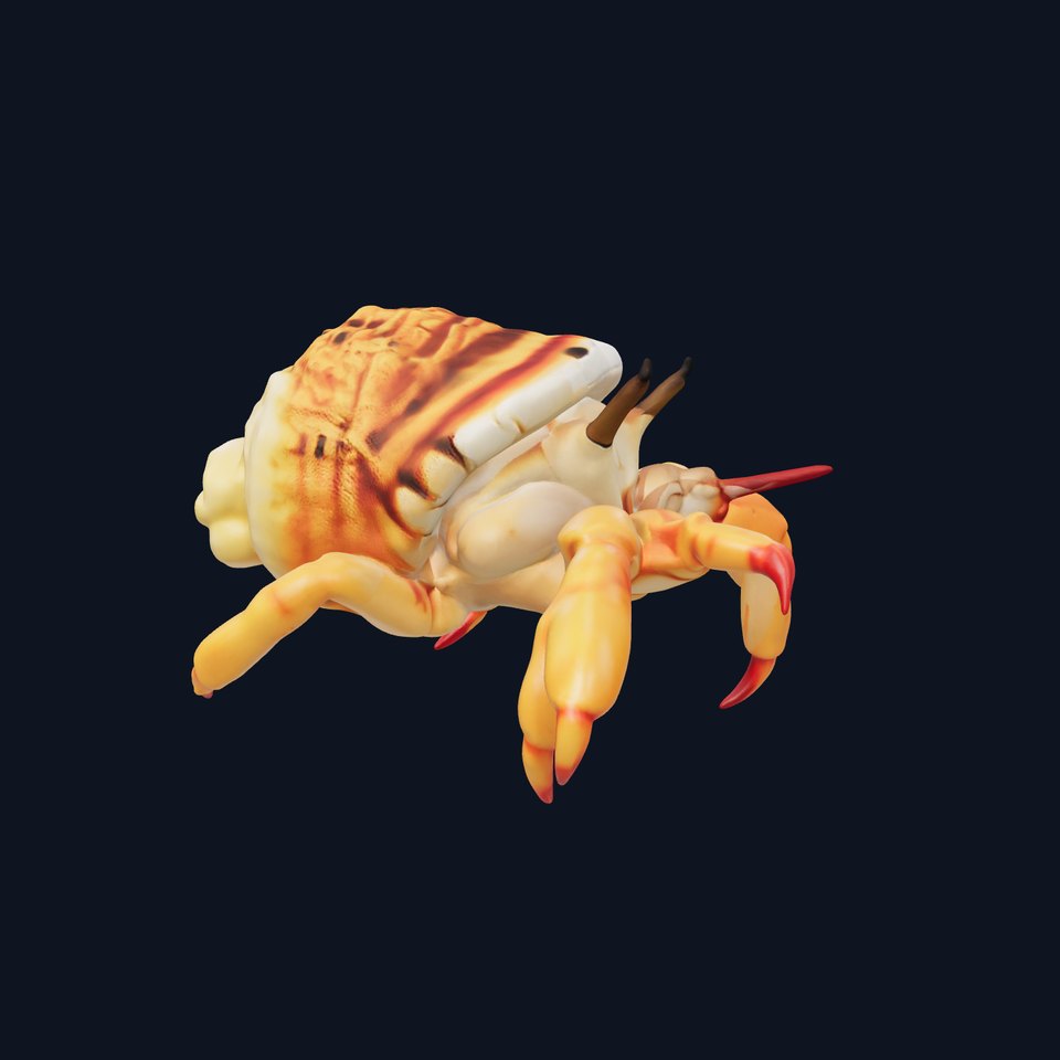 Detailed Hermit Crab model pack