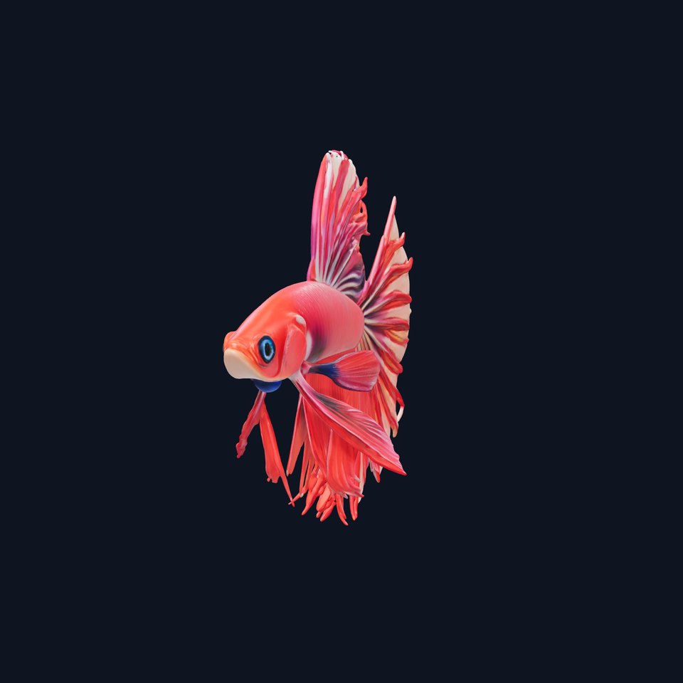Vibrant Betta Fish model pack
