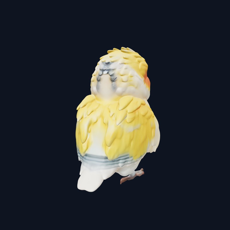 Vibrant Parakeet model pack