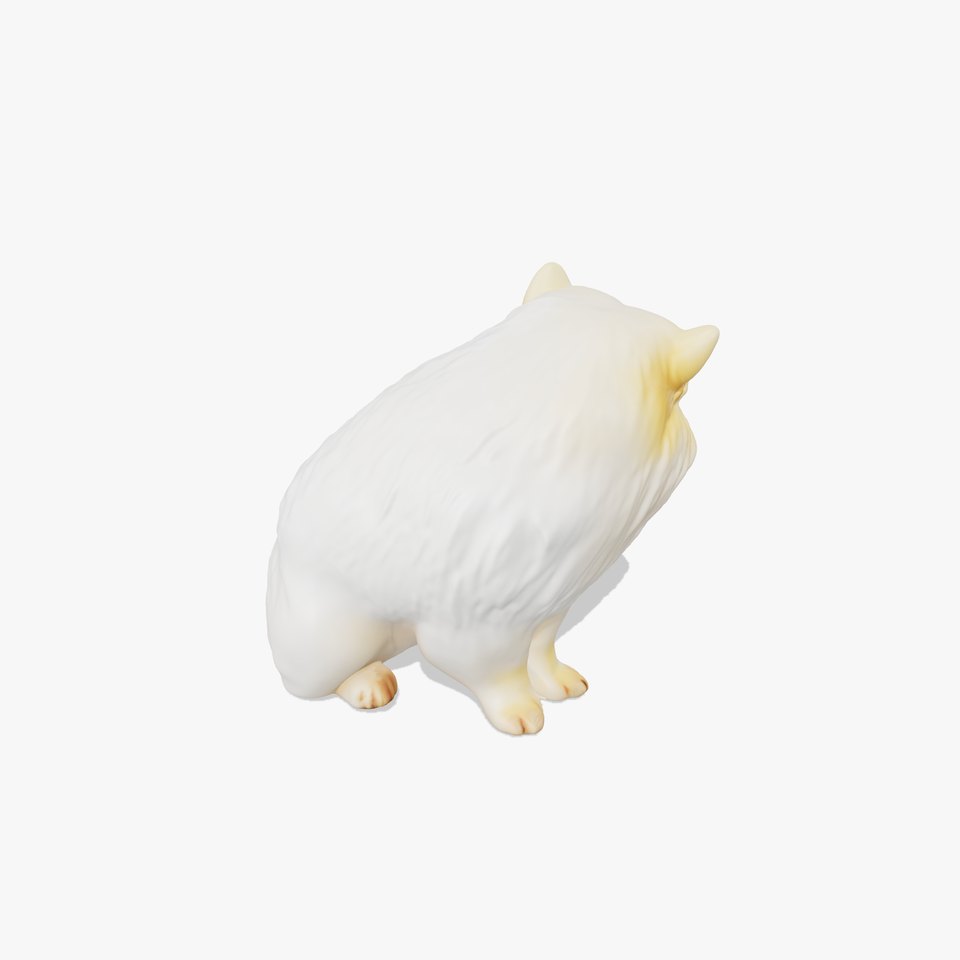 Fluffy White Dog model pack