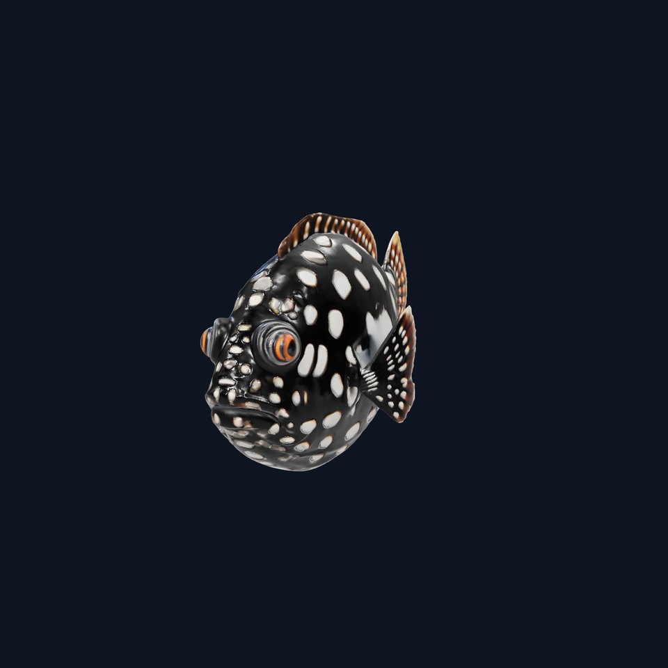 Spotted Fish Design model pack