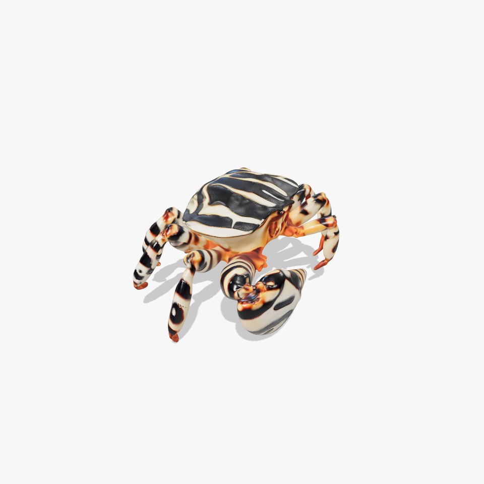 Striped Crab Creature model pack