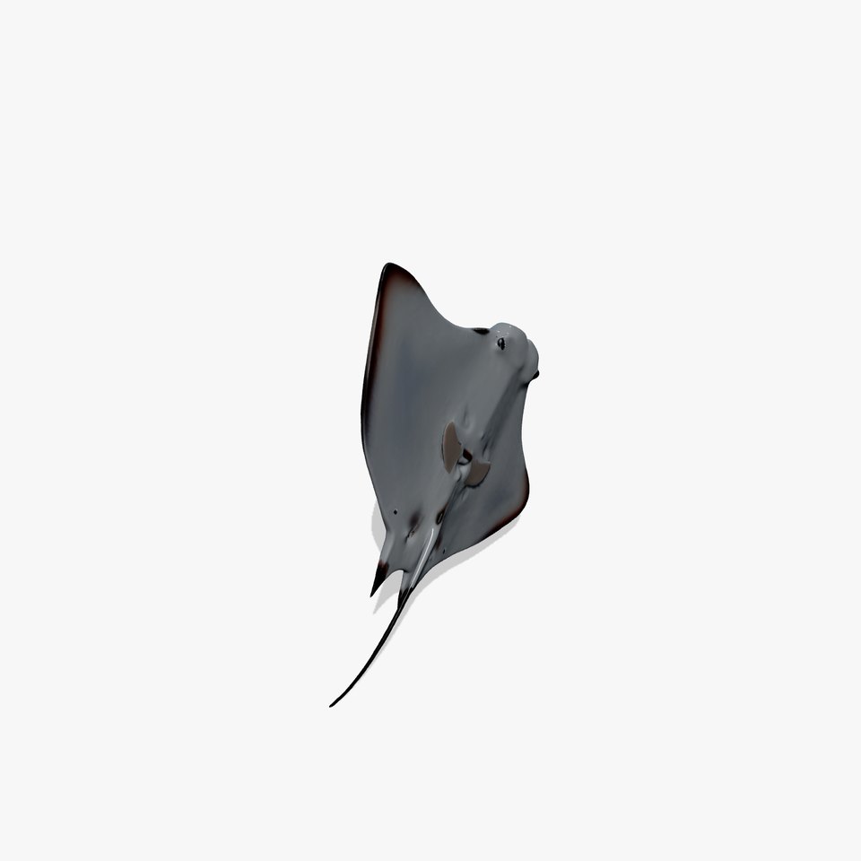 Oceanic Manta Ray model pack