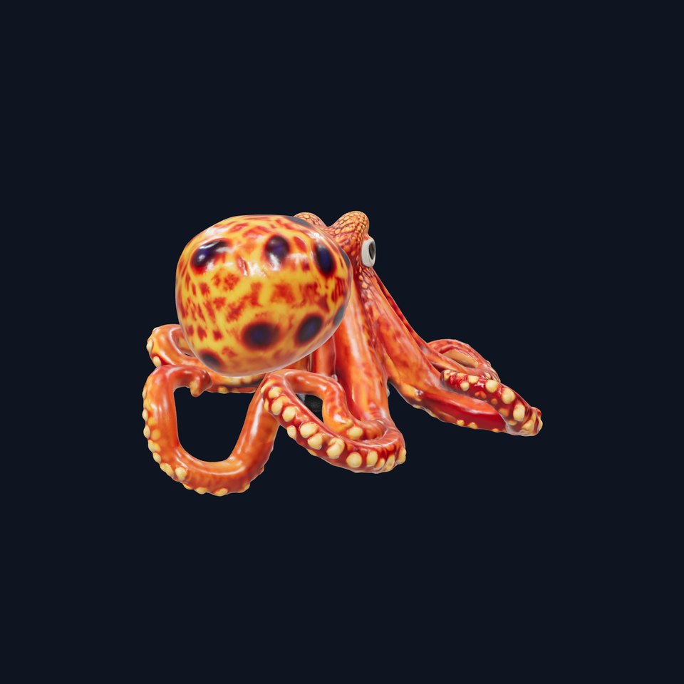 Vibrant Octopus model pack