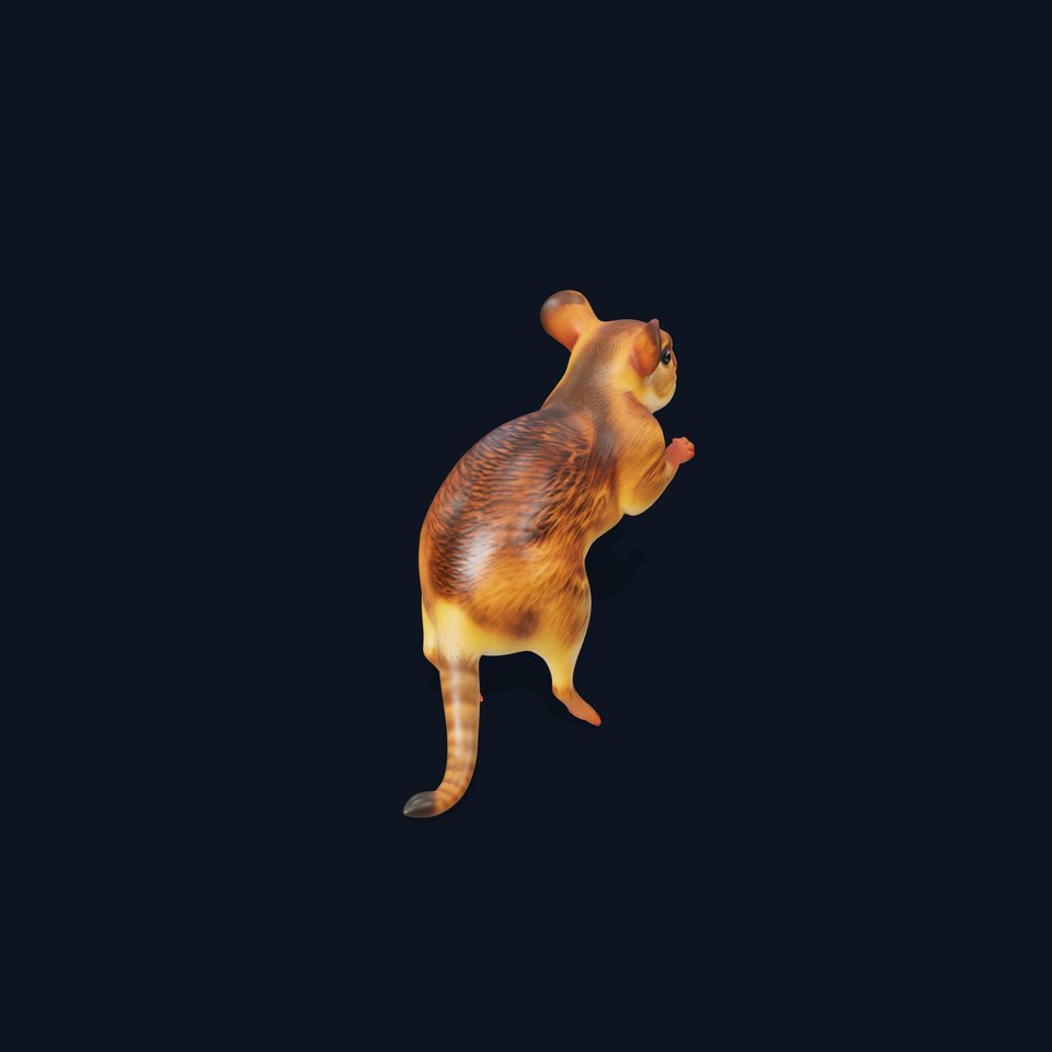 Bushy Tail Jerboa model pack