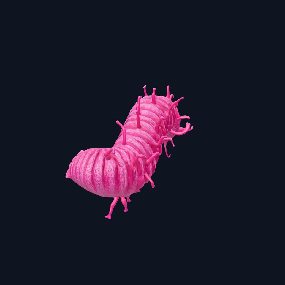 Bright Pink Caterpillar model pack