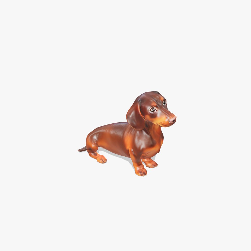 Chocolate Dachshund model pack