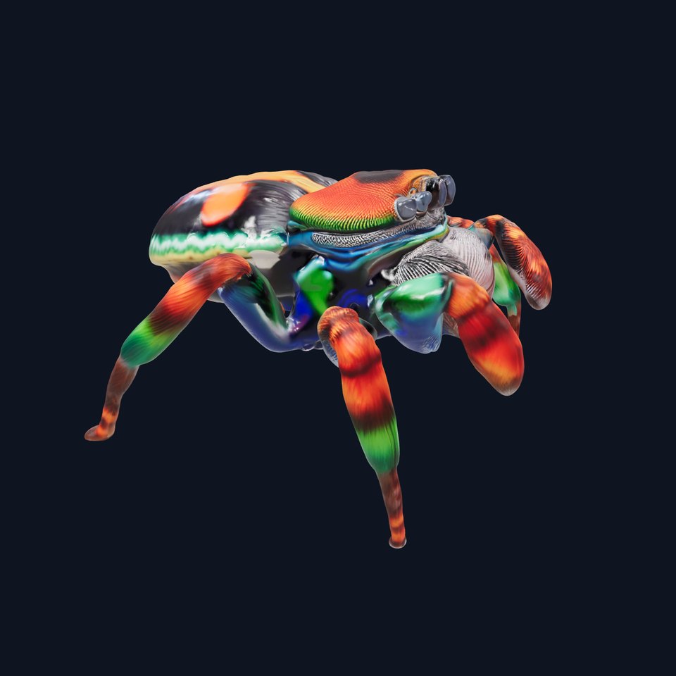 Vibrant Jumping Spider model pack